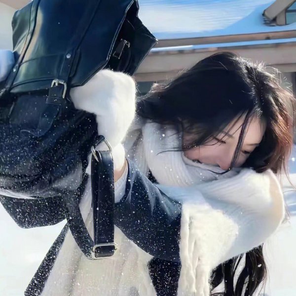 君子好逑 海报