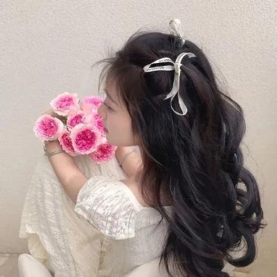 黛洛维夫人 海报
